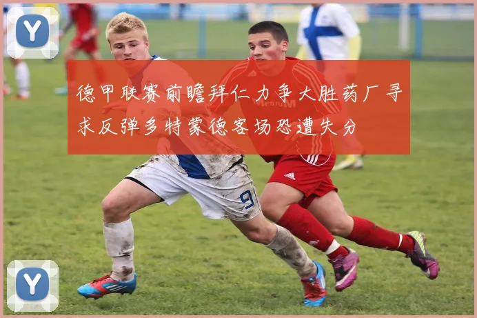 德甲联赛前瞻拜仁力争大胜药厂寻求反弹多特蒙德客场恐遭失分